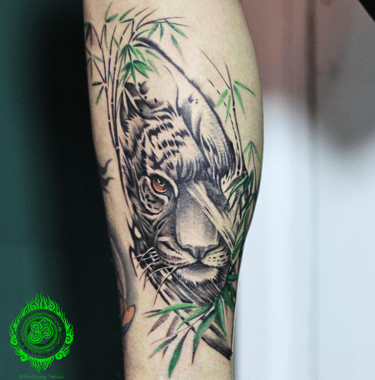 Lifelike tiger tattoo on the leg, surrounded by green bamboo, realism style by MaxDuong Tattoo