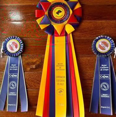 Premios Exposiciones Caninas Pet Lovers