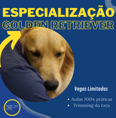 Especialização em Golden Retriever