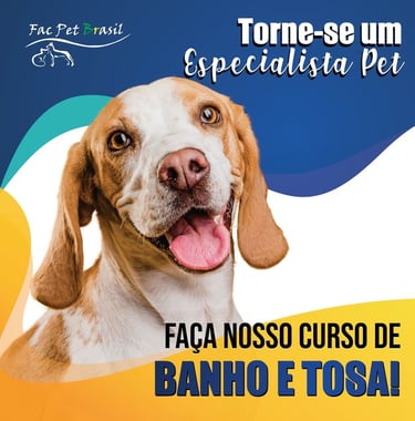 Especialização Tosa Tesoura Carinha Tosa Bebê
