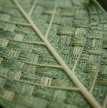 A macro photograph showing the intricate texture of a leaf green woven fabric. The composition focuses on the organic patterns and fine details of the natural fibers, bathed in soft ivory light.