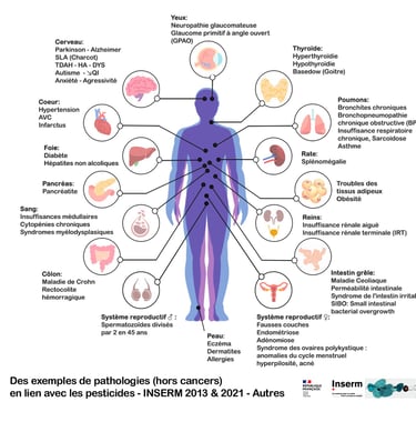 PESTICIDES SANTÉ MALADIES