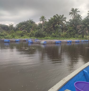 Lac artificiel où sont élevés les poissons alevins