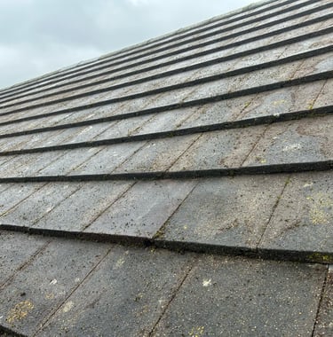 roof tiles that have been professionally cleaned