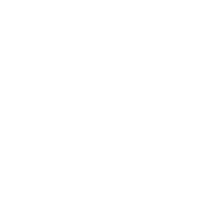 a circle with a circle with check mark in center