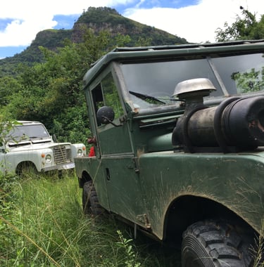 two land rovers deep in the bush