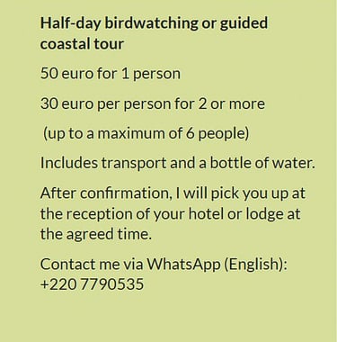 Flyer half-day birdwatching or guided coastal tour in Gambia. Price €50 for 1 person or €30 per pers