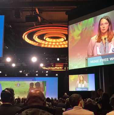 Young leader presenting at a global conference
