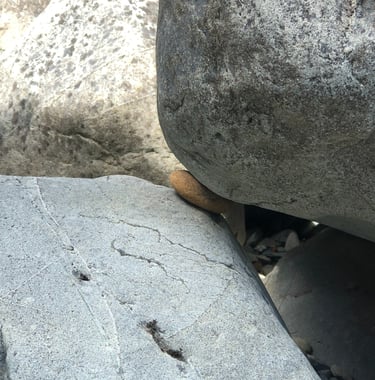 Small rock wedged between large boulders illustrating feeling stuck