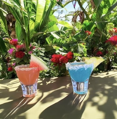 Interactive shots Bender Mixology Services