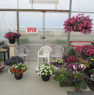 Welcome to Moore's Greenhouse Open 9am - 7pm