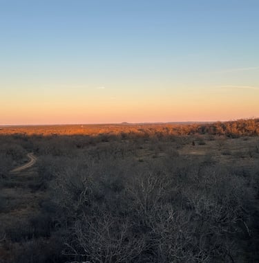 Hillside sunset picture over trees and off-road trail.