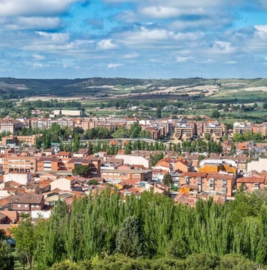 Palencia. Vista general desde el Otero