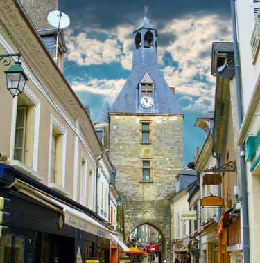Gite vue Loire amboise