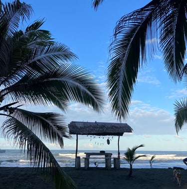 beachfront at camping babsita on the caribbean coast in costa rica