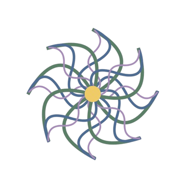 An integration of the different wave forms - lotus pattern representing The Journey Home