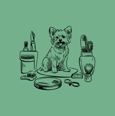 Professional dog grooming service at EMG Dog Grooming Studio in Amsterdam.
