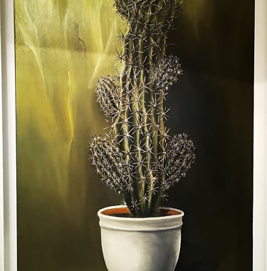 a cactus plant in a white frame with a yellow background