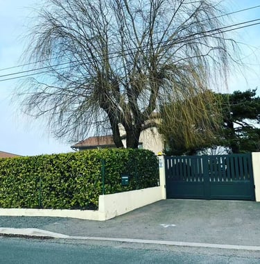 haie espace vert