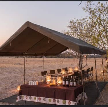 Bush Picnic near Cape Town Anysberg Karoo