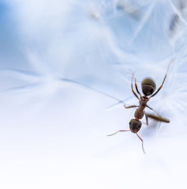 a spider spider spider spider spider spider spider spider spider spider spider spider spider spider spider