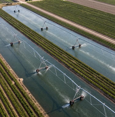 An aerial photography shot showing an efficient irrigation system forming geometric patterns on a high-performance farm. The image showcases advanced water management and sustainable resource use. International / Global setting.
