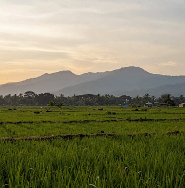 A wide-angle shot of a lush, fertile plot of land for sale in the Southeast Asian / Indonesian countryside, with soft sage grey mountains in the distance and a vibrant pearly off-white sunset sky.