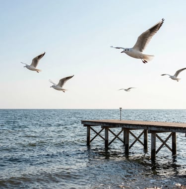A peaceful landscape photograph of the Gdansk pier extending into the Baltic Sea. Several white seagulls are captured mid-flight against a steel blue sea and a bright, soft white horizon.