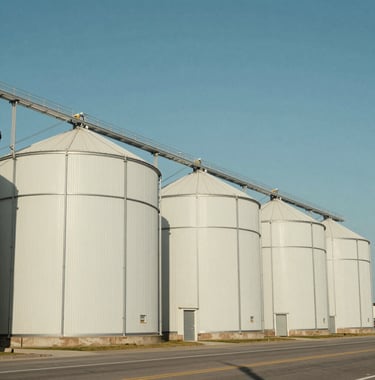 A sharp, clear image of an agricultural storage facility during the day, with bright off-white and sky blue tones, representing the agricultural commodity value chain.