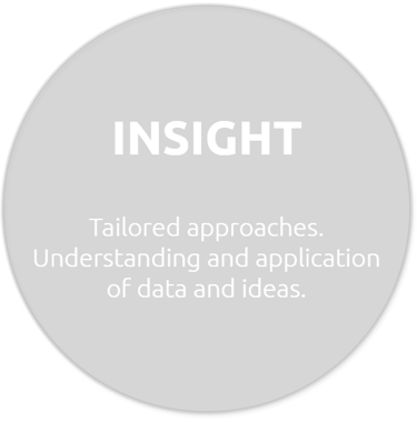 Insights, tailored approaches. Understanding and application of data and ideas