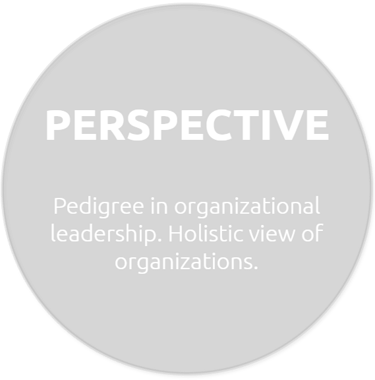 Pedigree in organizational leadership. Holistic view of organizations