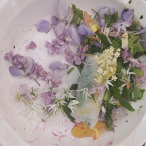pétales de fleurs sauvages comestibles