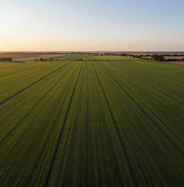 A wide aerial view of a green fertile field or development plot in the outskirts of Capitán Bermúdez, Argentina. Soft golden hour lighting highlighting the horizon and the potential for real estate investment.
