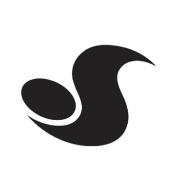 Dvs Skateboarding | WWW.DESKOSSKATESHOP.COM | Distribuidor