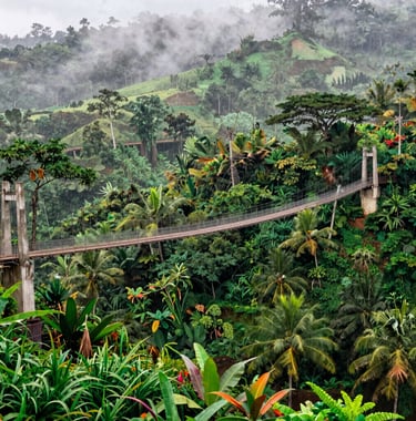 A vibrant photograph of the Sukabumi suspension bridge stretching over a lush tropical valley, with the misty rainforest of a Southeast Asian / Indonesian landscape in the morning light.