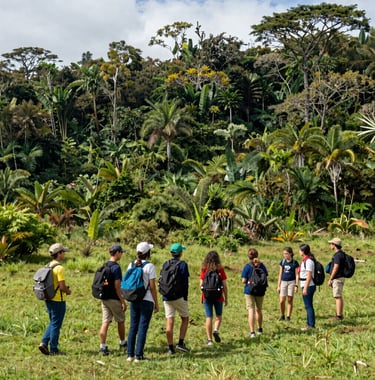 A wide landscape shot of students exploring a lush green nature reserve in South America, led by a guide, with bright daylight and a sense of adventure.