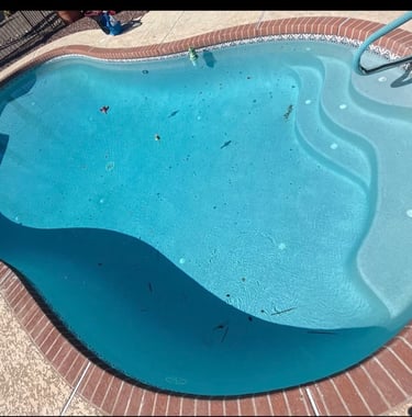 a pool before cleaning