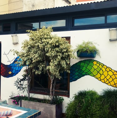 Fresque terrasse hostel Buenos Aires