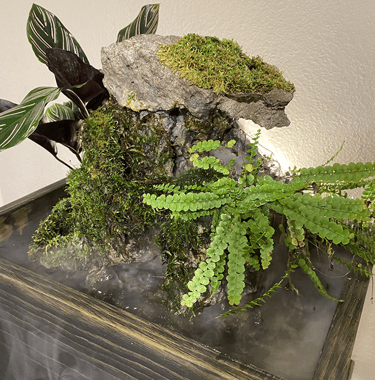 Indoor waterfall featuring moss-covered stone, ferns, and fog effects in a dark wood aquarium