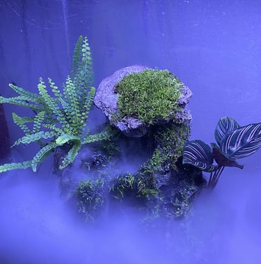 Moss-covered terrarium fountain featuring sculpted stone, ferns, and fog effects i