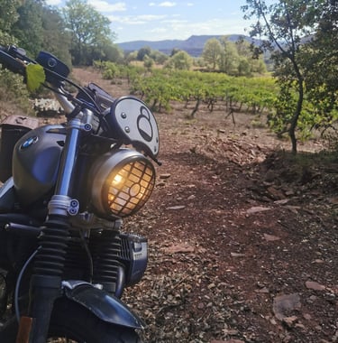 moto aventure dans vigne
