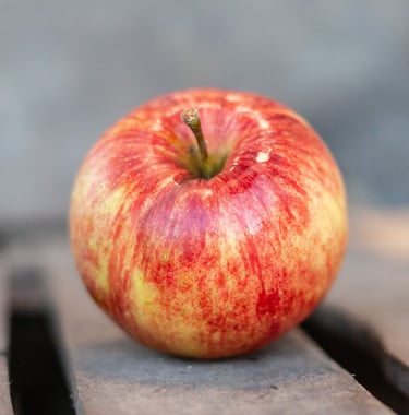 Pomme Jonagold bio rouge et juteuse du verger familial en Savoie