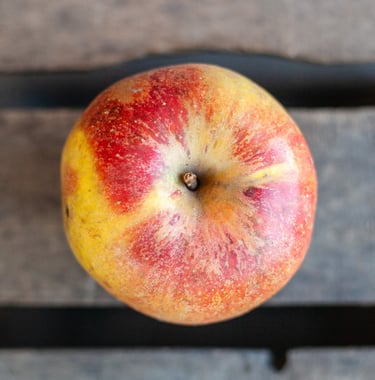 Pomme Suntan bio juteuse et croquante du verger familial en Savoie