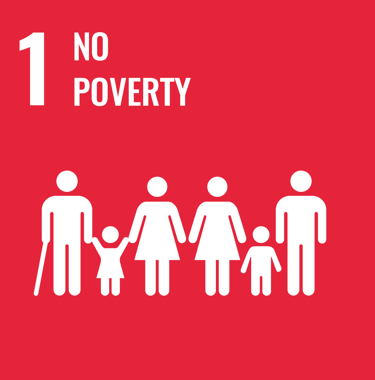 SDG 1