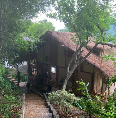 junglejoe ecolodge