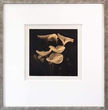 Elegant framed black and white lily floral wall art in a silver picture frame with white matting.