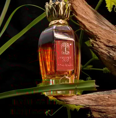 Portfolio of food, e-commerce & fashion brand photography by The Gravids