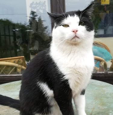 Tommy sitting proud, such a big boy!