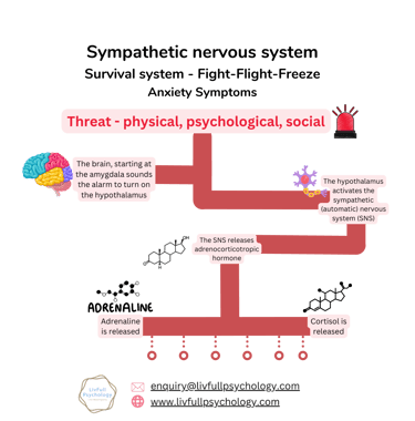 Nervous system - SNS - anxiety symptoms - route - adrenaline