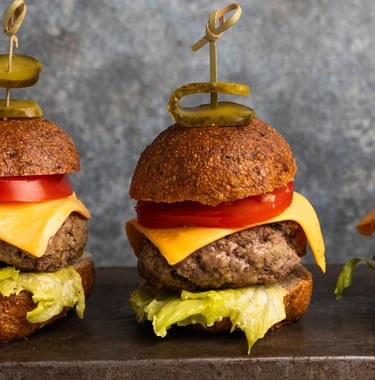 Sustainable plant-based, nutritionally-dense, hypoallergenic protein and fibre burgers